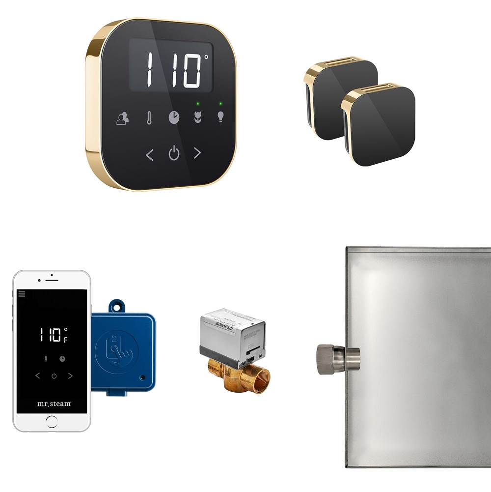 Mr. Steam AirButler Max Steam Shower Control Package with AirTempo Control and Aroma Glass SteamHead in Black Polished Brass