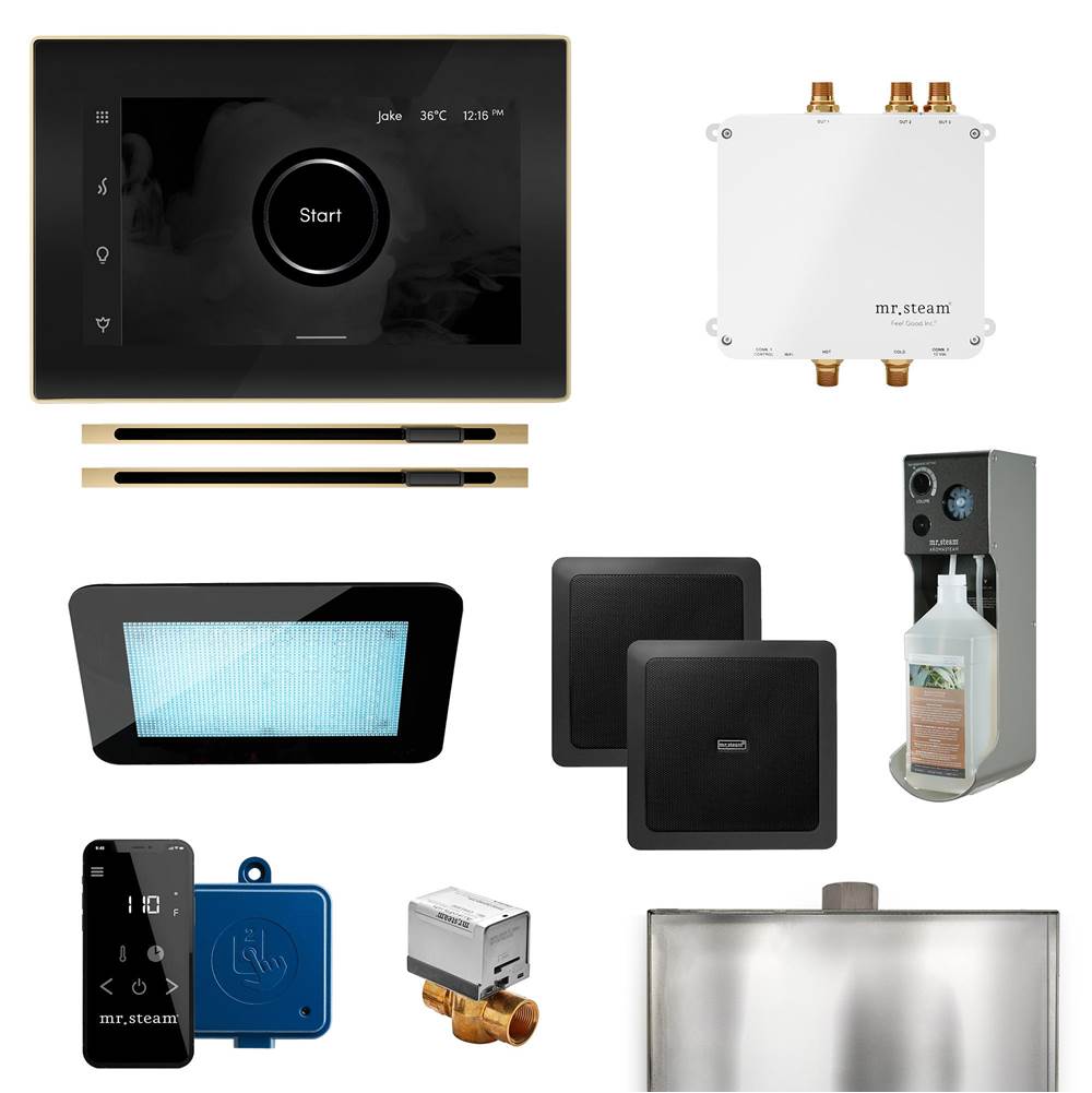Mr. Steam Bliss Max Linear Programmable Steam Generator Control Kit with iSteamX Control and Linear Steamhead in Black Satin Brass