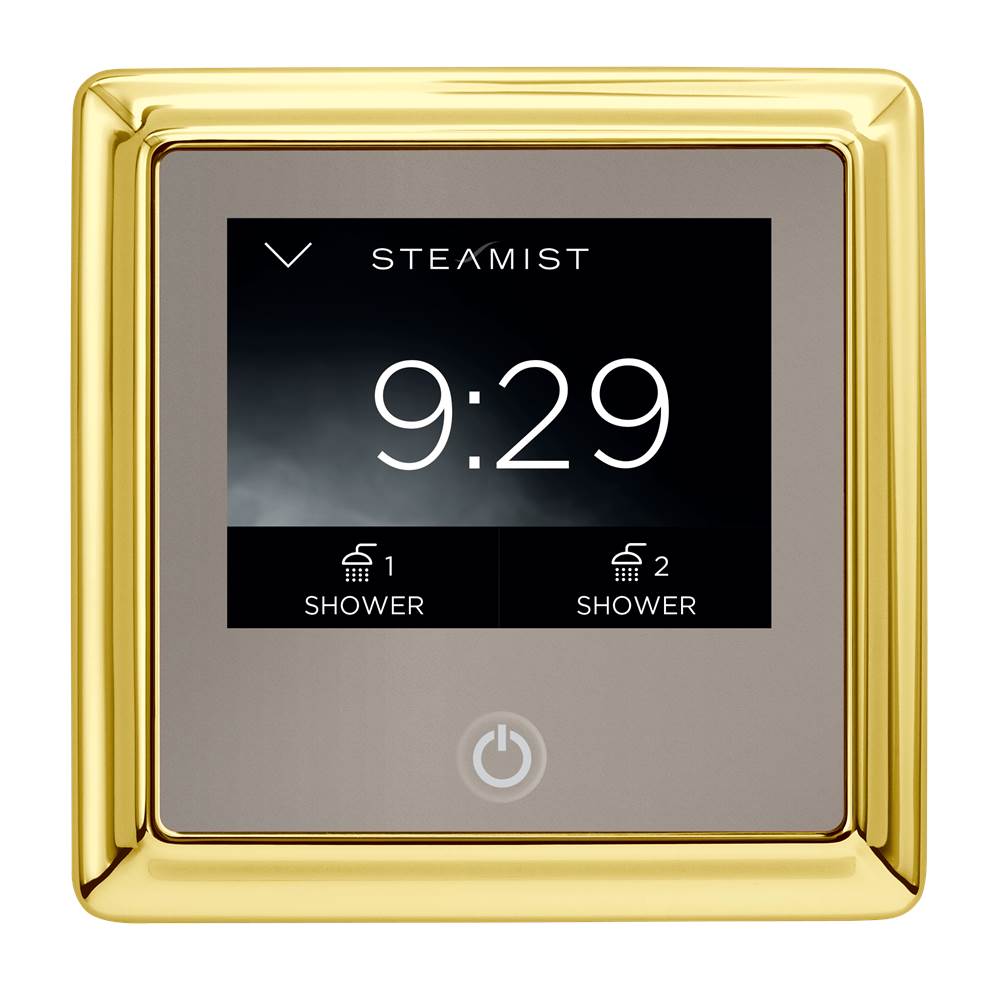 Steamist ShowerSense Digital Control Trad - PG